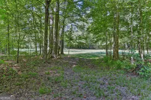 369 Abares Rd, Forsyth, GA 31029 - Photo 53