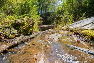 369 Abares Road, Forsyth, GA 31029 - Photo 51