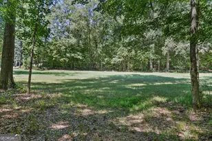 369 Abares Rd, Forsyth, GA 31029 - Photo 55