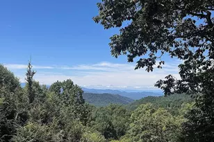 388 Alex Mountain Dr, Sky Valley, GA 30537 - Photo 55