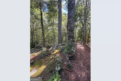 388 Alex Mountain Drive, Sky Valley, GA 30537 - Photo 57