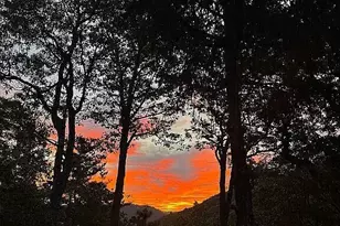 388 Alex Mountain Dr, Sky Valley, GA 30537 - Photo 51