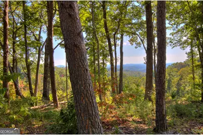 3 White Oak Circle, Blue Ridge, GA 30513 - Photo 5