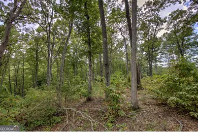 3 White Oak Circle, Blue Ridge, GA 30513 - Photo 9