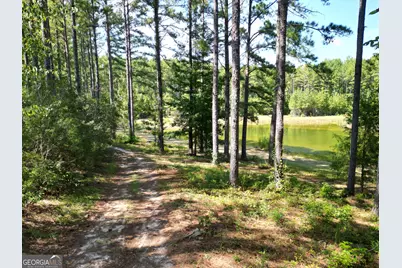 9800 Deepstep Road, Sandersville, GA 31082 - Photo 71