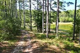 9800 Deepstep Rd, Sandersville, GA 31082 - Photo 71