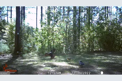 9800 Deepstep Road, Sandersville, GA 31082 - Photo 81