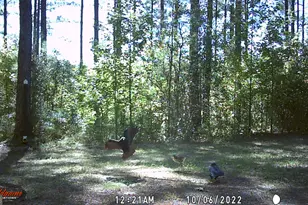 9800 Deepstep Rd, Sandersville, GA 31082 - Photo 81