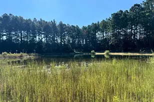 9800 Deepstep Rd, Sandersville, GA 31082 - Photo 75