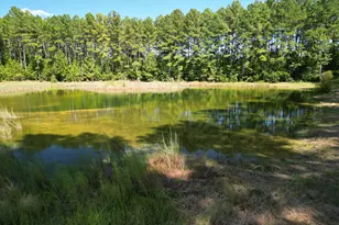 9800 Deepstep Rd, Sandersville, GA 31082 - Photo 69