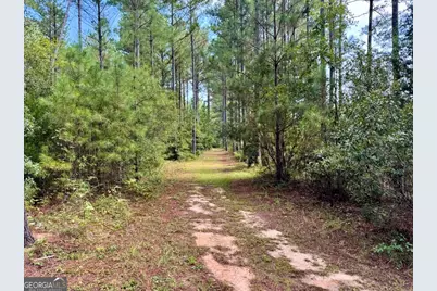 9800 Deepstep Road, Sandersville, GA 31082 - Photo 77