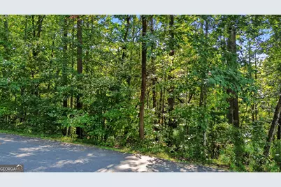 0 Rome Beauty Lane #LOT 1109, Clarkesville, GA 30523 - Photo 11