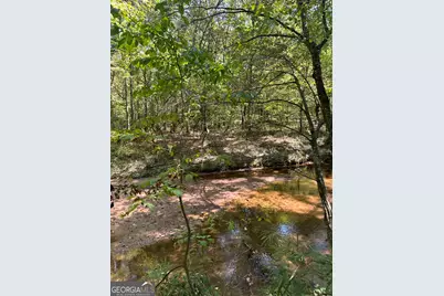 46 Creek Ridge, Winterville, GA 30683 - Photo 7