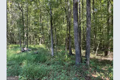 46 Creek Ridge, Winterville, GA 30683 - Photo 5
