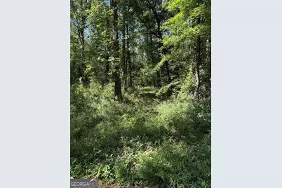 0 Charles Lane, Springfield, GA 31329 - Photo 3