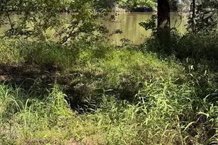 0 Charles Ln, Springfield, GA 31329 - Photo 1