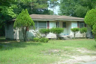 154 James St, Reidsville, GA 30453 - Photo 1