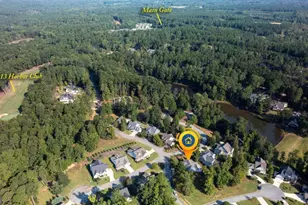 1100 Mira Vis Cv, Greensboro, GA 30642 - Photo 41