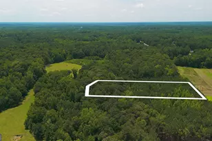 0 McBride Rd, Fayetteville, GA 30215 - Photo 9