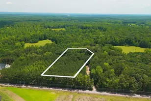 0 McBride Rd, Fayetteville, GA 30215 - Photo 7