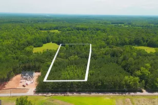 0 McBride Rd, Fayetteville, GA 30215 - Photo 9