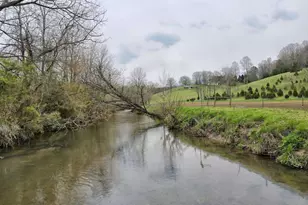 392 Hwy 66, Young Harris, GA 30582 - Photo 3