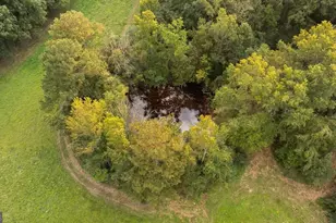 446 Brown Bridge Rd, Chatsworth, GA 30705 - Photo 15