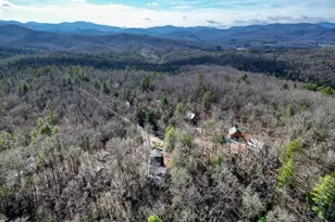 492 Chinkapin Dr, Blue Ridge, GA 30513 - Photo 47