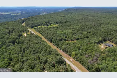 38 +/- Acres On Ga Hwy 157, Menlo, GA 30731 - Photo 11