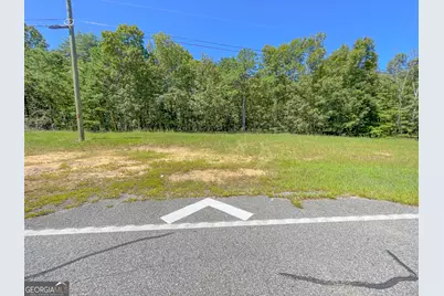 38 +/- Acres On Ga Hwy 157, Menlo, GA 30731 - Photo 15