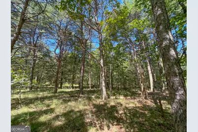 38 +/- Acres On Ga Hwy 157, Menlo, GA 30731 - Photo 13