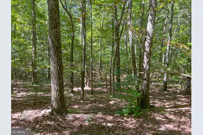 38 +/- Acres On Ga Hwy 157, Menlo, GA 30731 - Photo 9