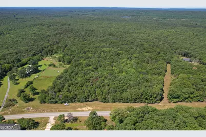 38 +/- Acres On Ga Hwy 157, Menlo, GA 30731 - Photo 1