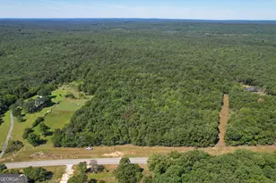 38 +/- Acres On Ga Hwy 157, Menlo, GA 30731 - Photo 1