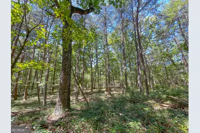 38 +/- Acres On Ga Hwy 157, Menlo, GA 30731 - Photo 17