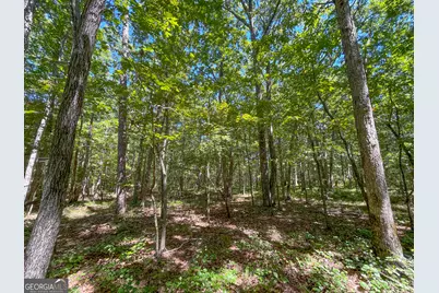 38 +/- Acres On Ga Hwy 157, Menlo, GA 30731 - Photo 25