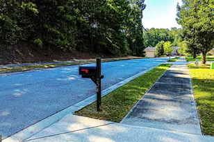 224 Juliet Dr, Hampton, GA 30228 - Photo 91