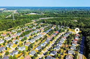 224 Juliet Dr, Hampton, GA 30228 - Photo 97