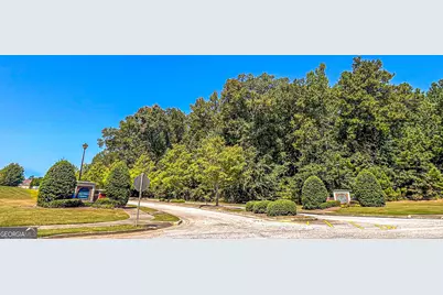 224 Juliet Drive, Hampton, GA 30228 - Photo 101