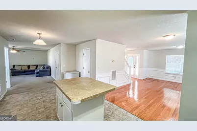 224 Juliet Drive, Hampton, GA 30228 - Photo 47