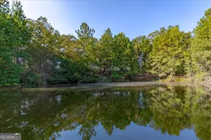 1167 Clopine Lake Rd, Fort Valley, GA 31030 - Photo 11