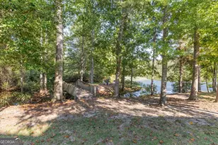 1167 Clopine Lake Rd, Fort Valley, GA 31030 - Photo 85