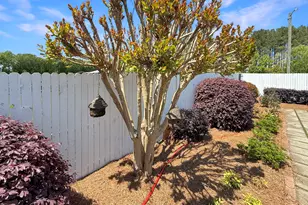 6356 Hwy 191, Comer, GA 30629 - Photo 63