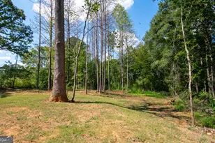 48 Wallace Gray Ct, Newnan, GA 30263 - Photo 35