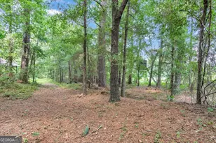 356 Massey-Doss, Keysville, GA 30816 - Photo 17