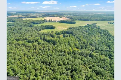 356 Massey-Doss, Keysville, GA 30816 - Photo 11