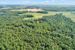 356 Massey-Doss, Keysville, GA 30816 - Photo 11