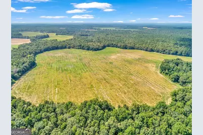 356 Massey-Doss, Keysville, GA 30816 - Photo 9