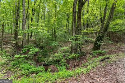 0 Long Mountain Road, Cleveland, GA 30528 - Photo 5