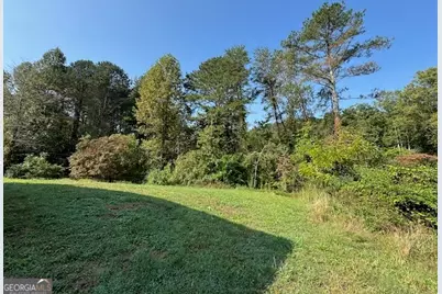 236 Washington Wilson Loop, Blue Ridge, GA 30513 - Photo 49